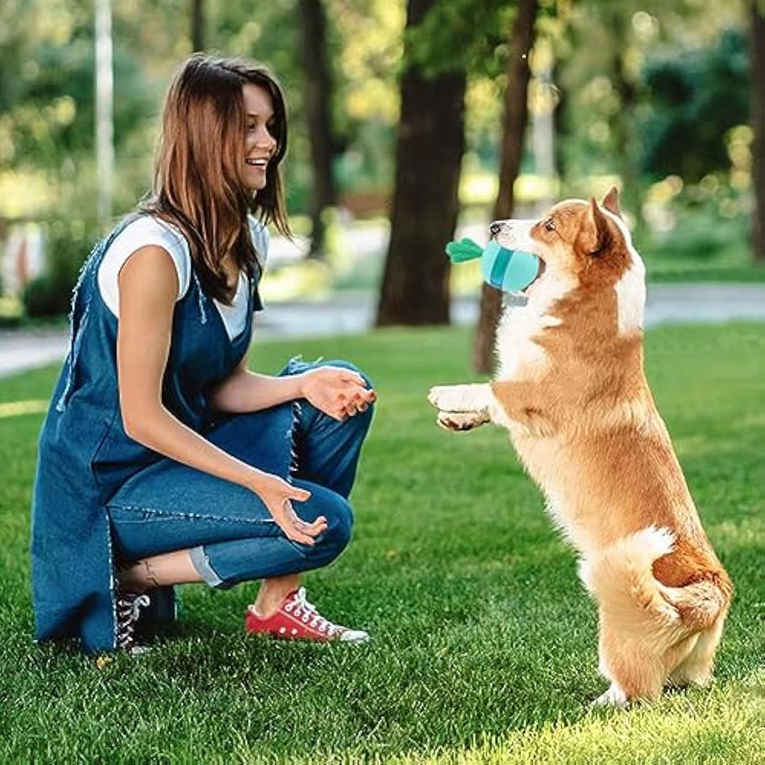 Interactive Treat Dispensing
