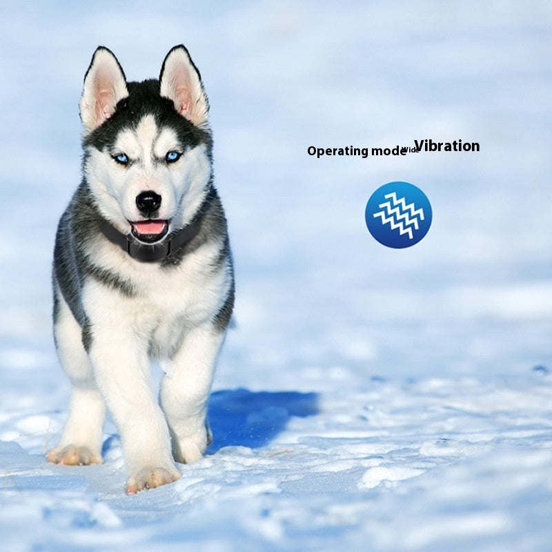 Electric Dog Anti Bark Shock Collar