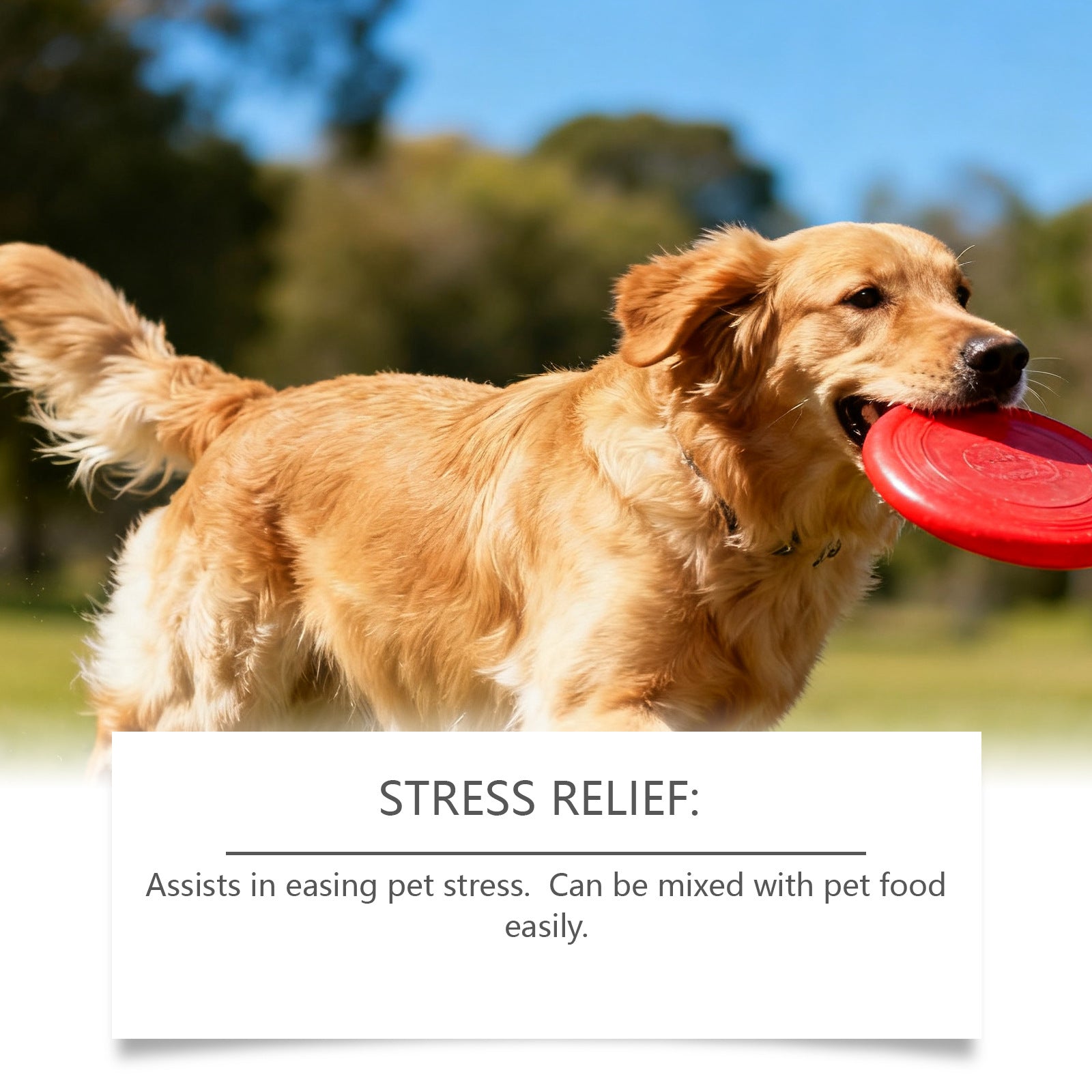 Dog Advanced Melatonin Drops