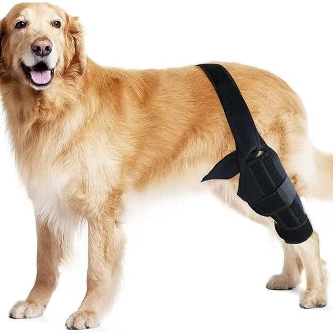 Protective Gear Dog Leg Injury Assistance Belt