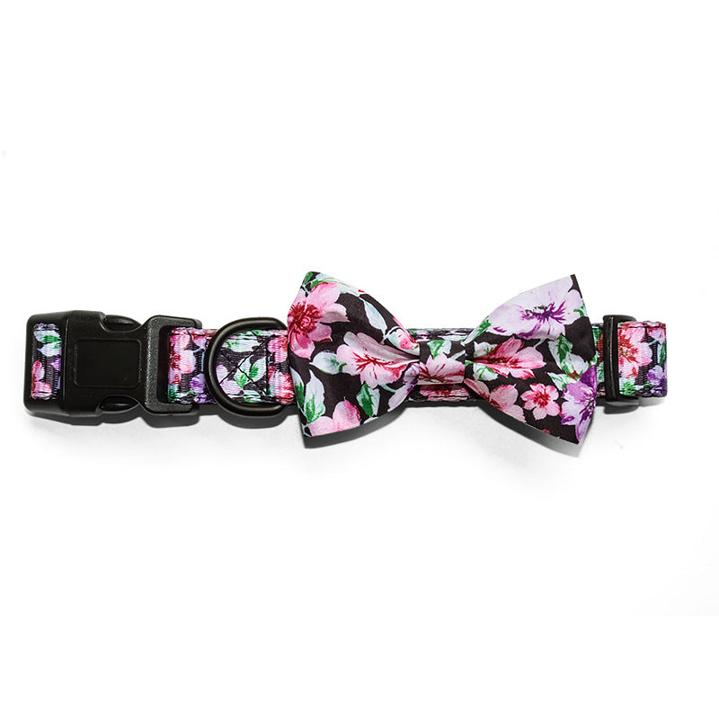 Pet Leash, Harness with Designs