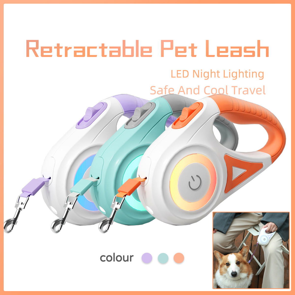Dog Leash/collar Retractable Leash