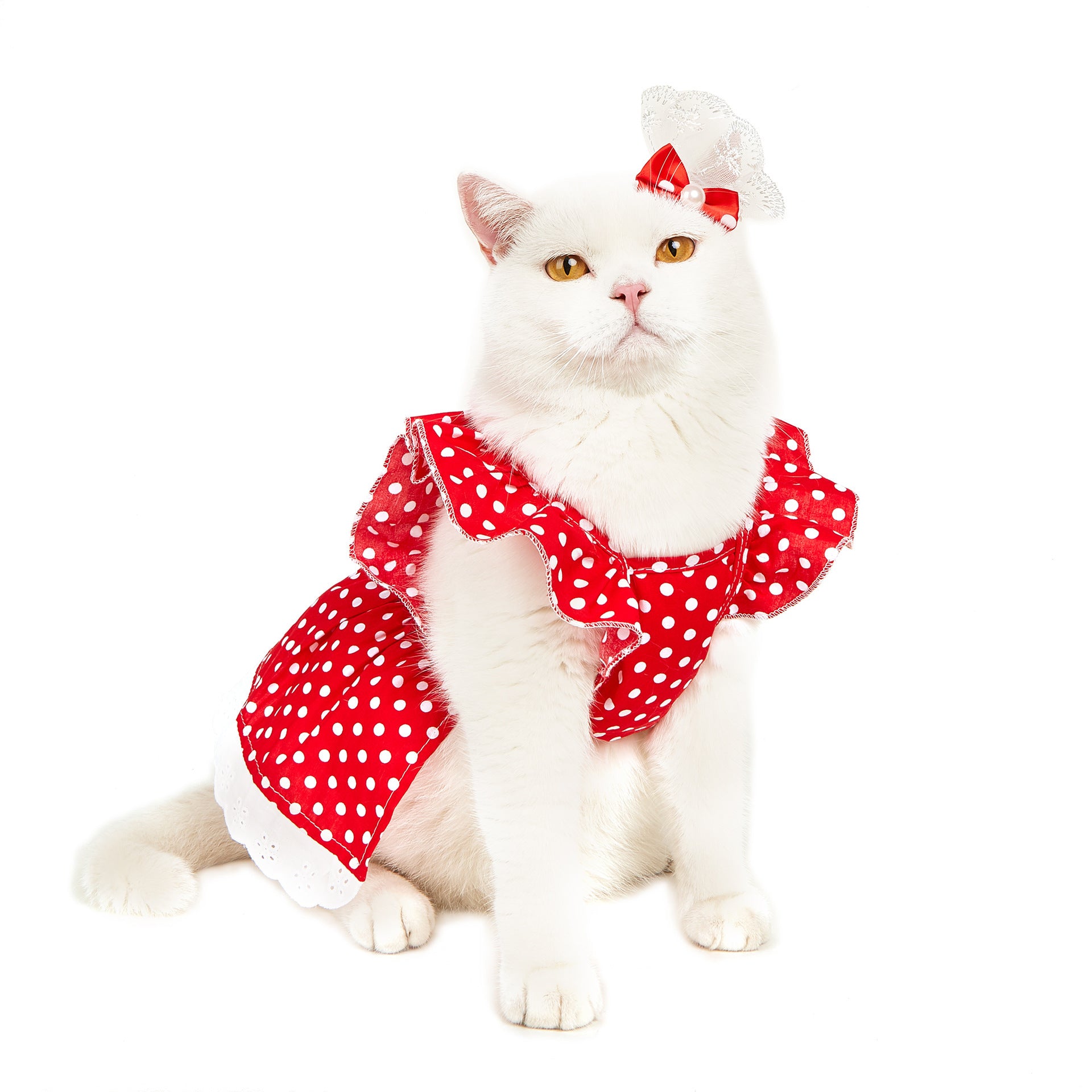 Black And White Polka Dot Dress Dog or Cat