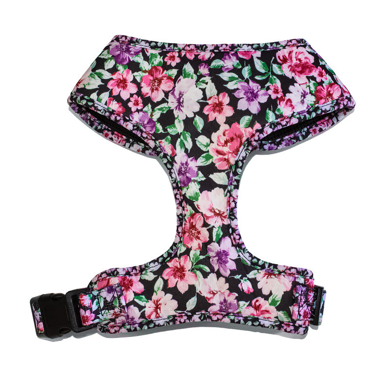 Pet Leash, Harness with Designs