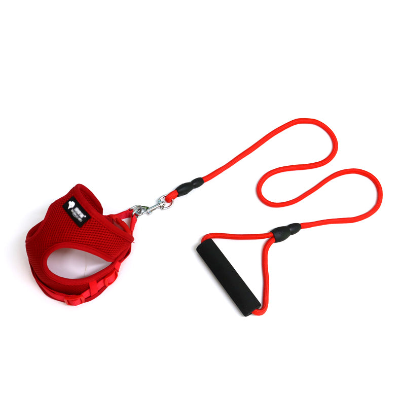 Small Dog Harness