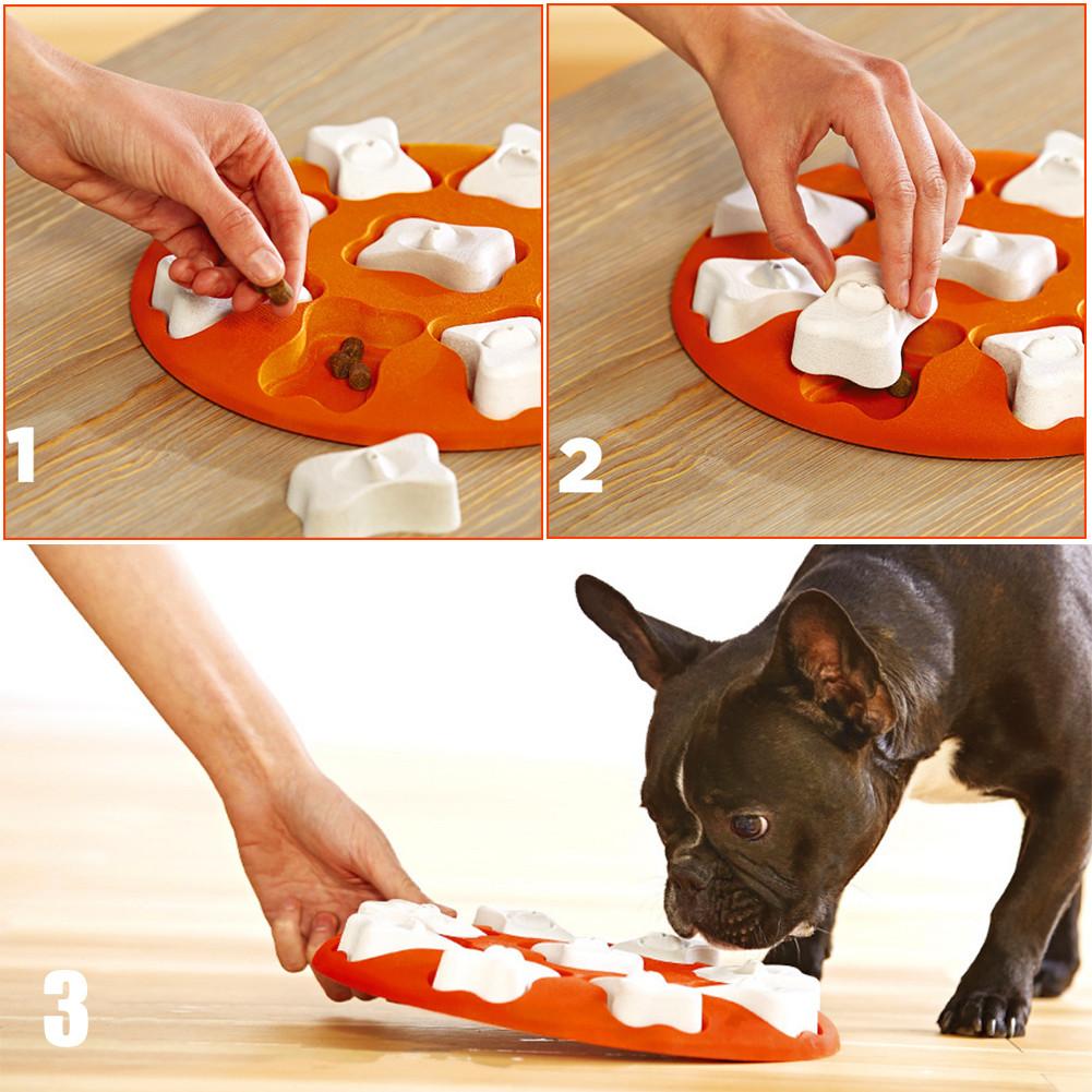 Dog Puzzle Toys raining