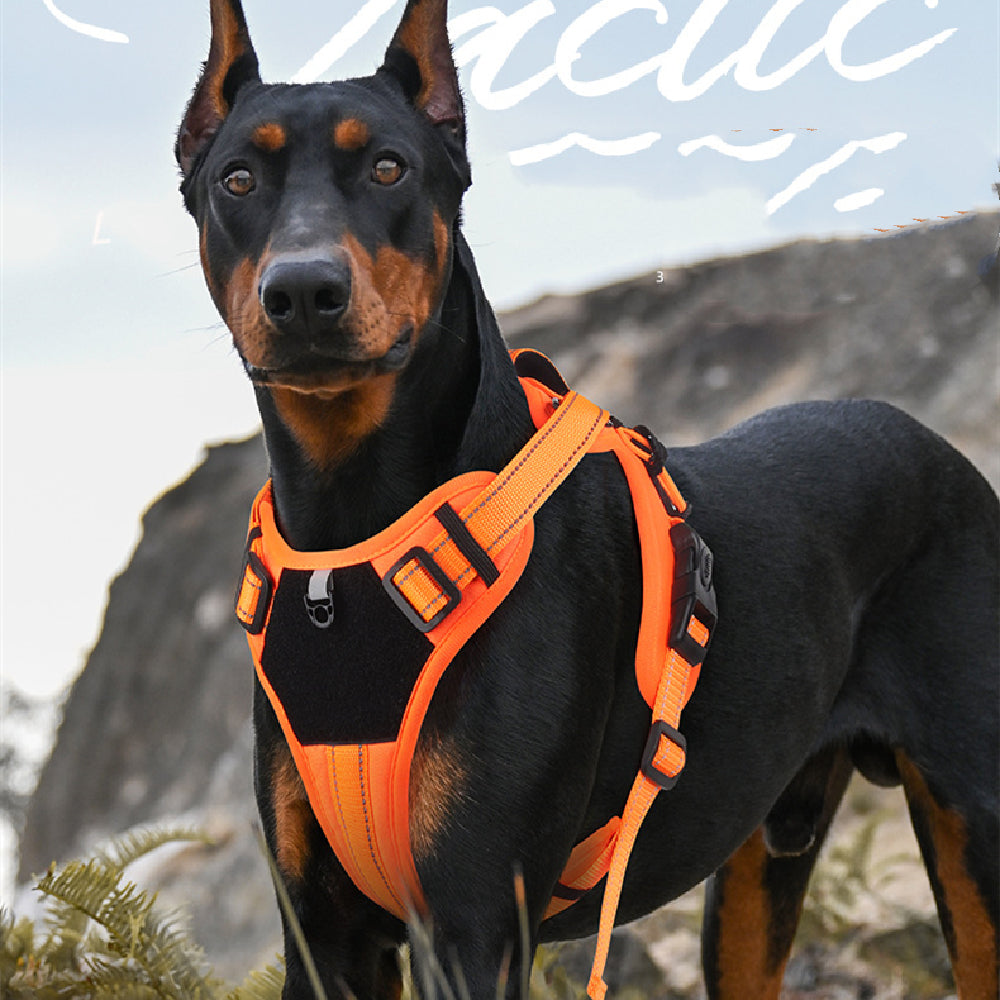 Anti Breaking Dog Harness