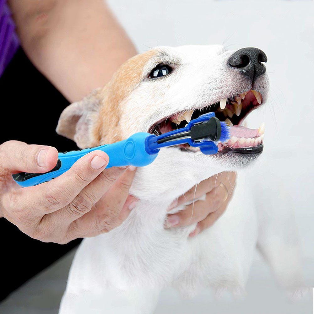 plush cat/dog toothbrush