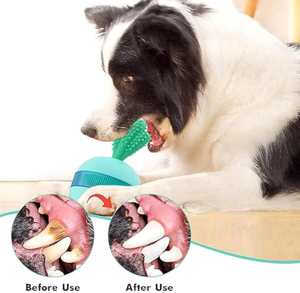 Interactive Treat Dispensing