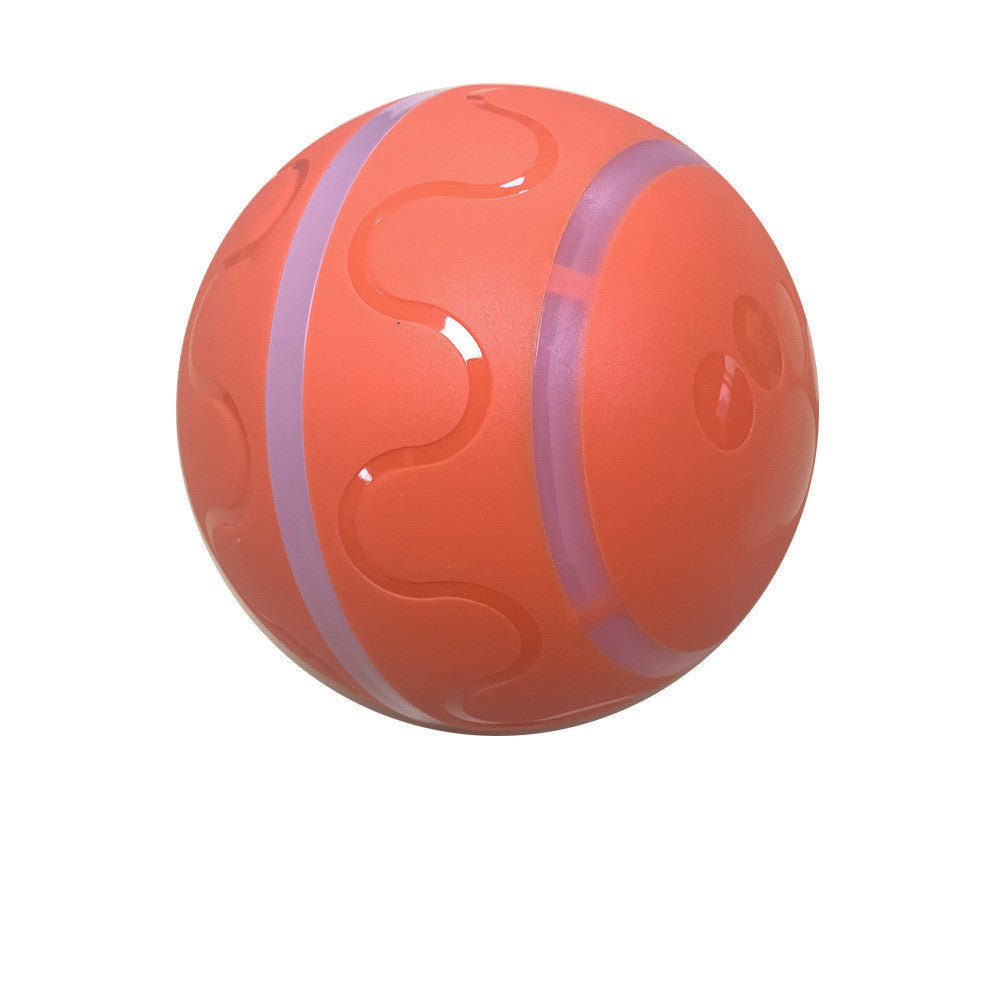 Cat Toy Interactive Ball