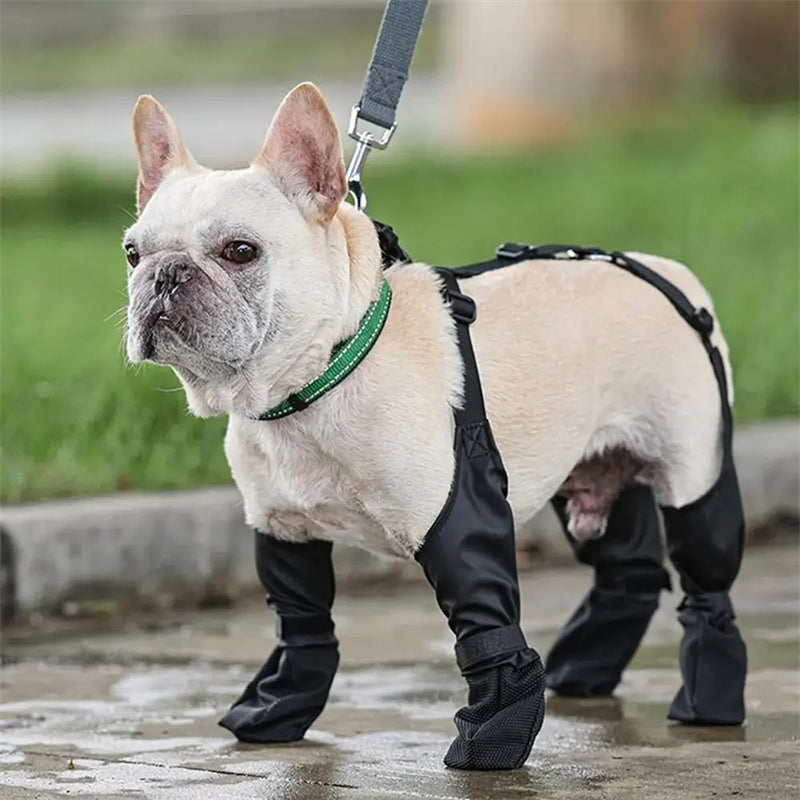 Waterproof Dog Boots Adjustable