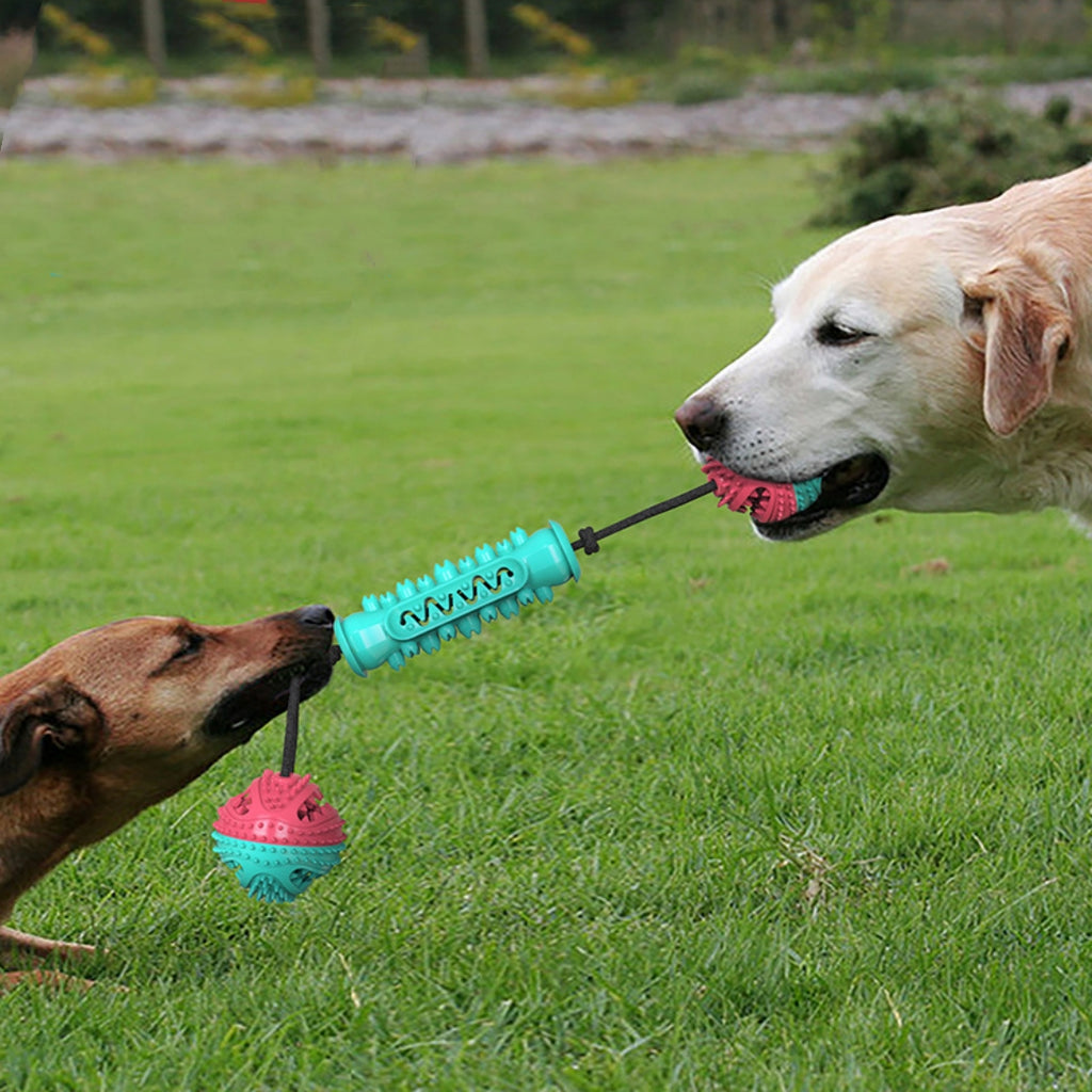 Dog Durable Chew Tug of War