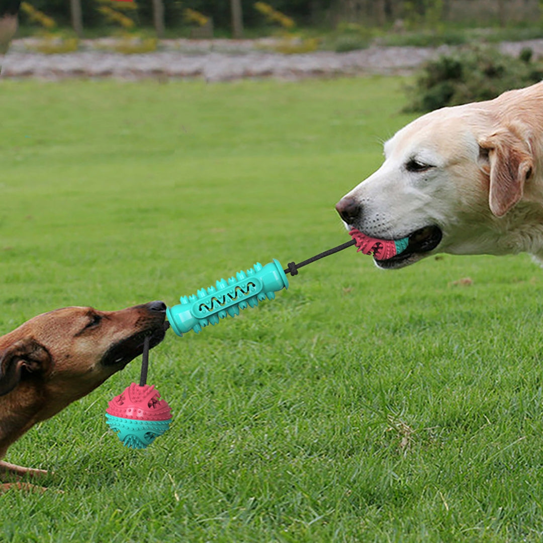 Dog Durable Chew Tug of War