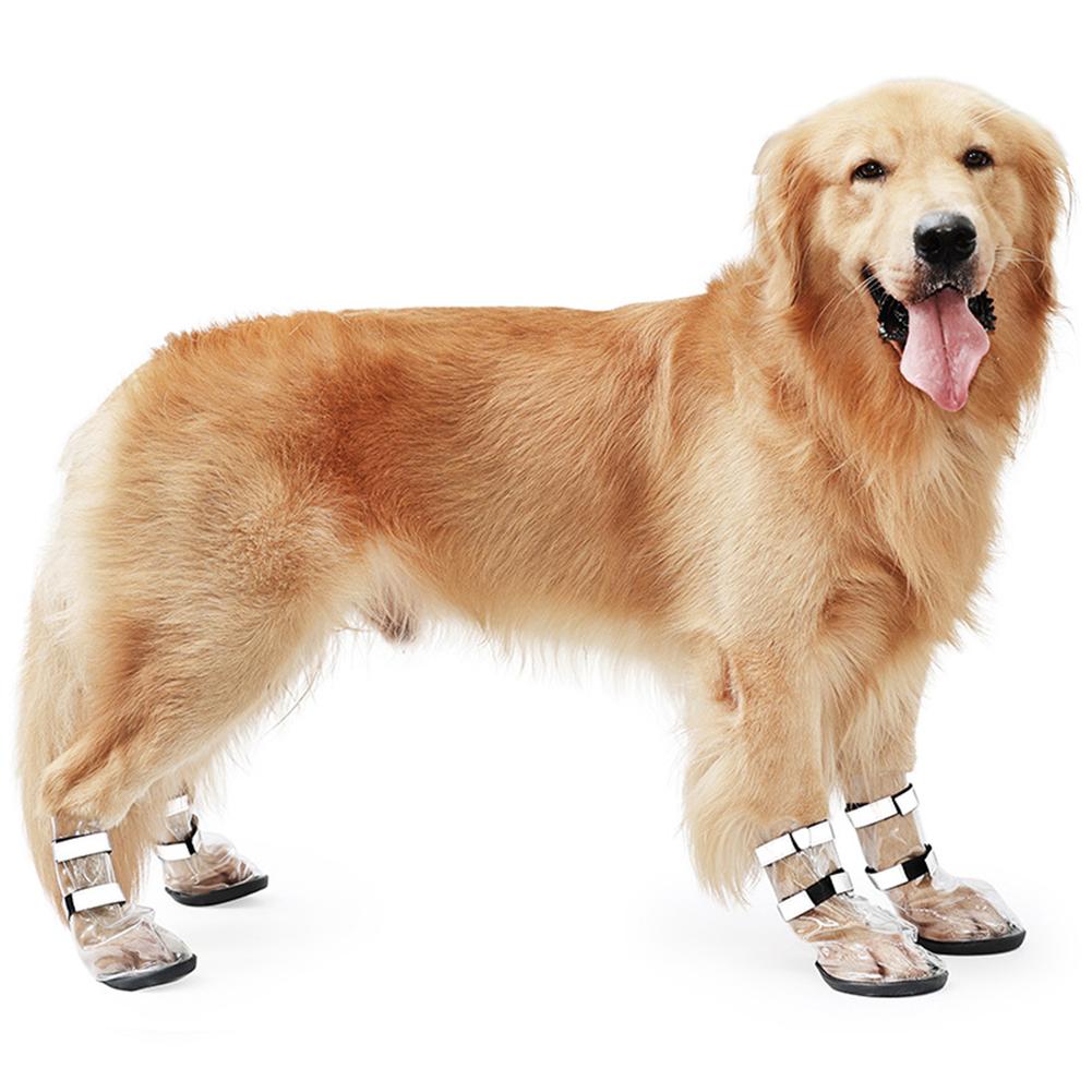 Waterproof Shoes For Large Dogs