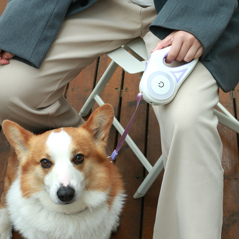 Dog Leash/collar Retractable Leash