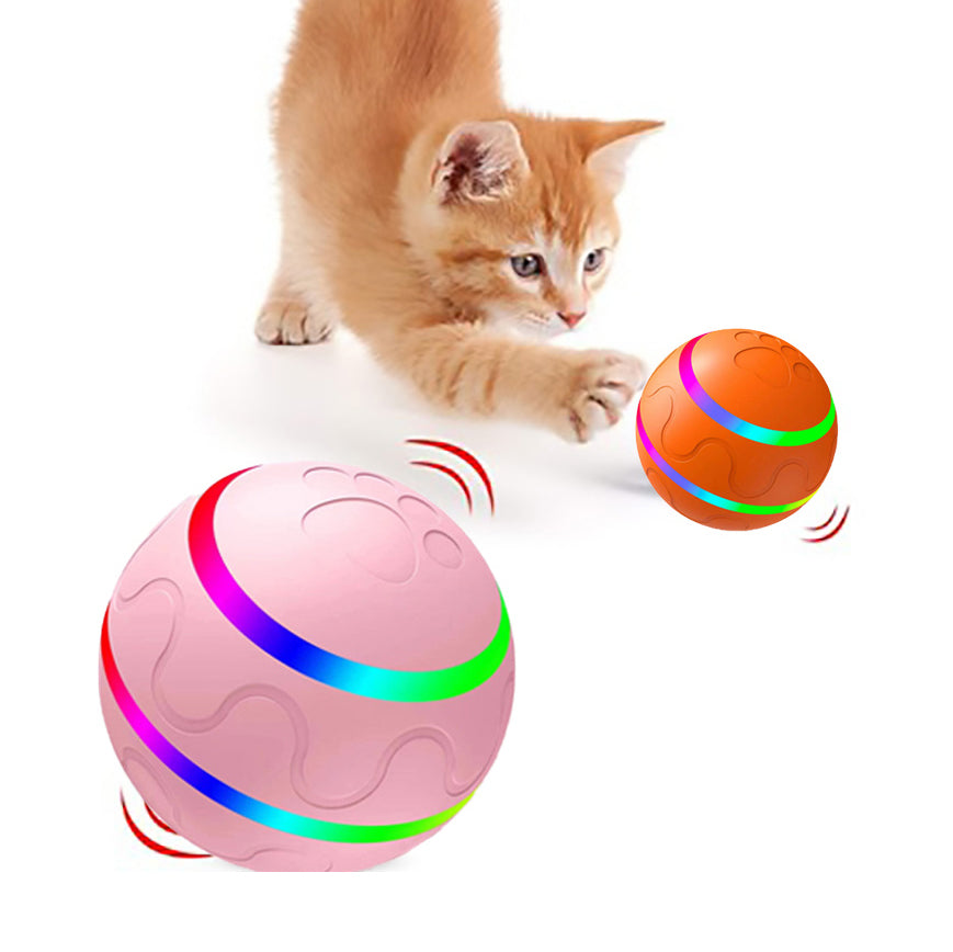Cat Toy Interactive Ball