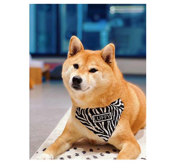 Dog Bib Triangle Scarf
