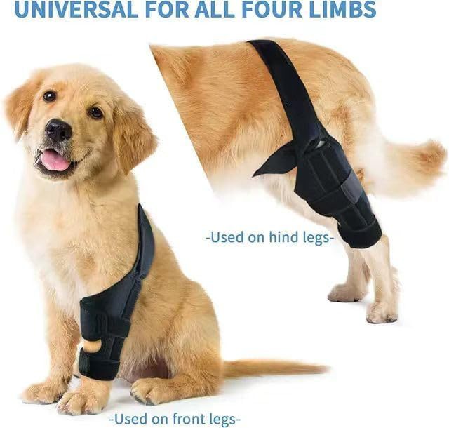 Protective Gear Dog Leg Injury Assistance Belt