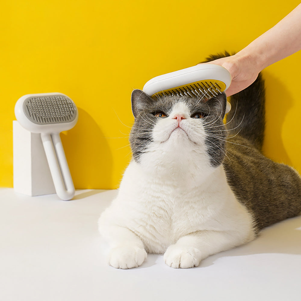 pet comb