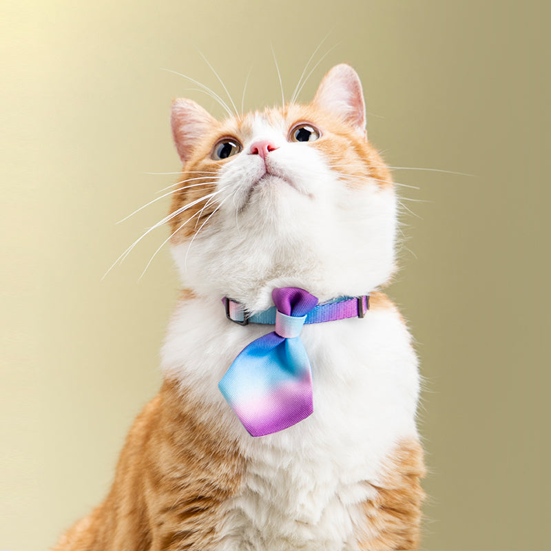 Dog Collar Gentleman Tie Accessories Adjustable