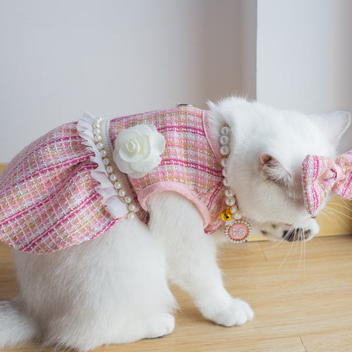 Cat Fashion Bow and Cute Dress