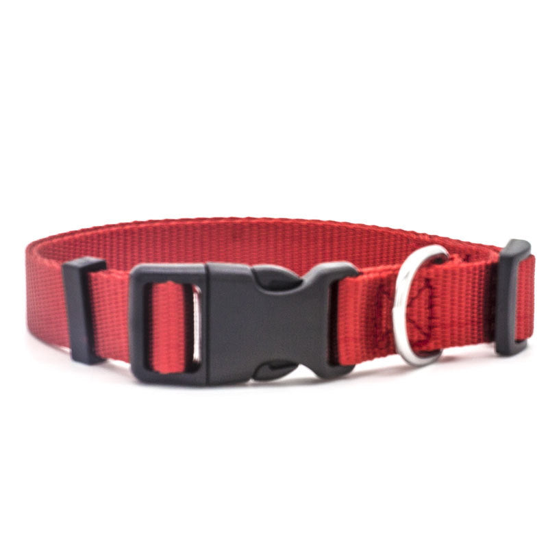 New Nylon Dog Collar