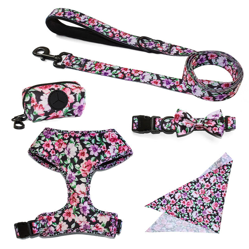 Pet Leash, Harness with Designs