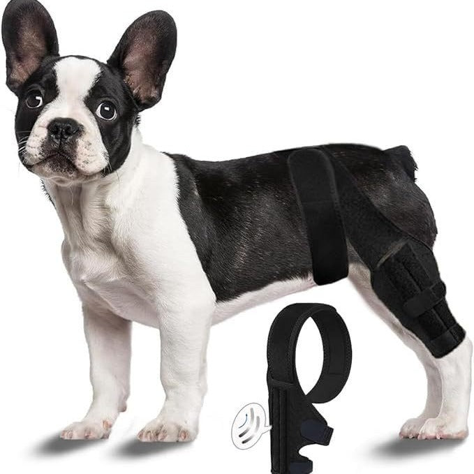 Protective Gear Dog Leg Injury Assistance Belt