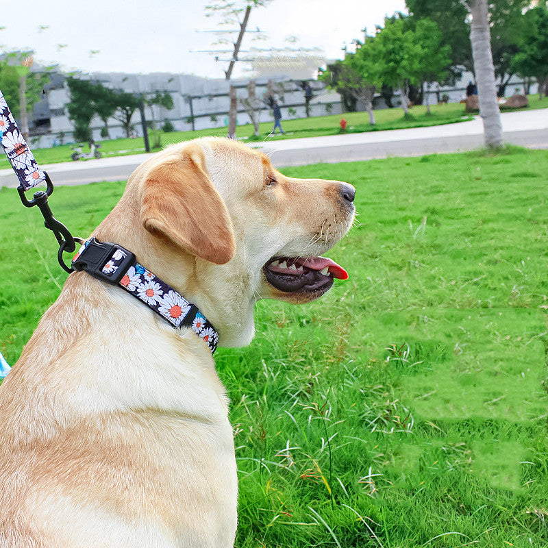 Pet Leash, Harness with Designs