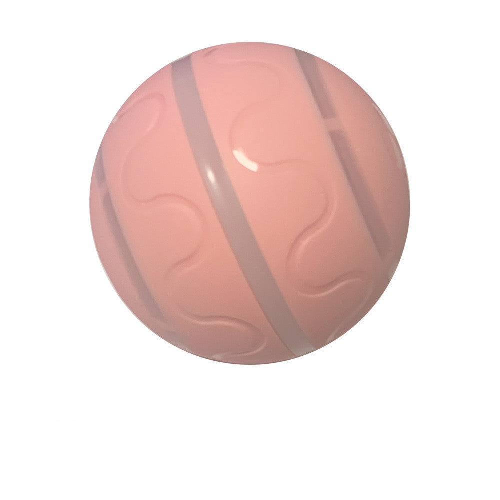 Cat Toy Interactive Ball