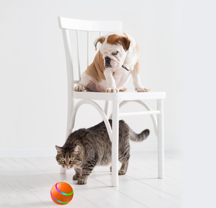 Cat Toy Interactive Ball
