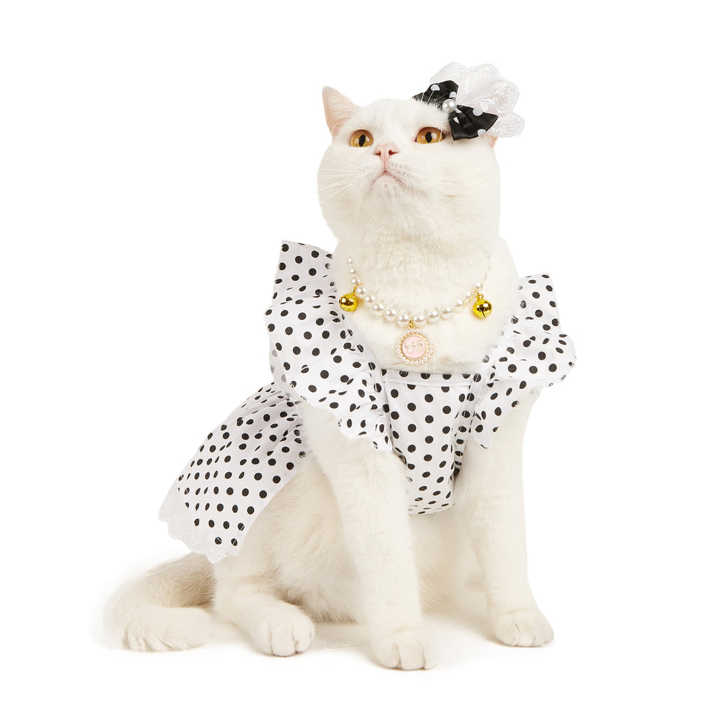 Black And White Polka Dot Dress Dog or Cat