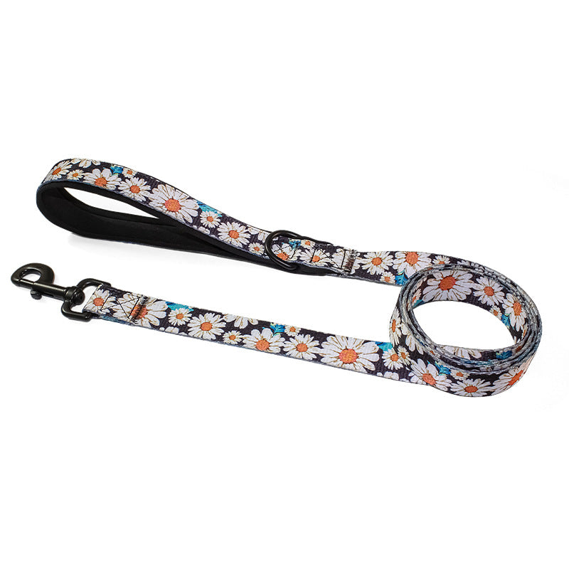 Pet Leash, Harness with Designs
