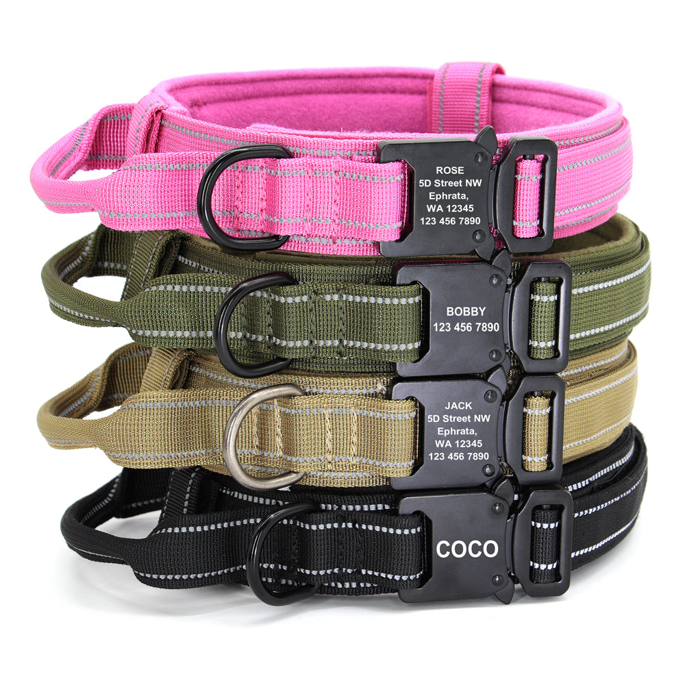 Dog Collars
