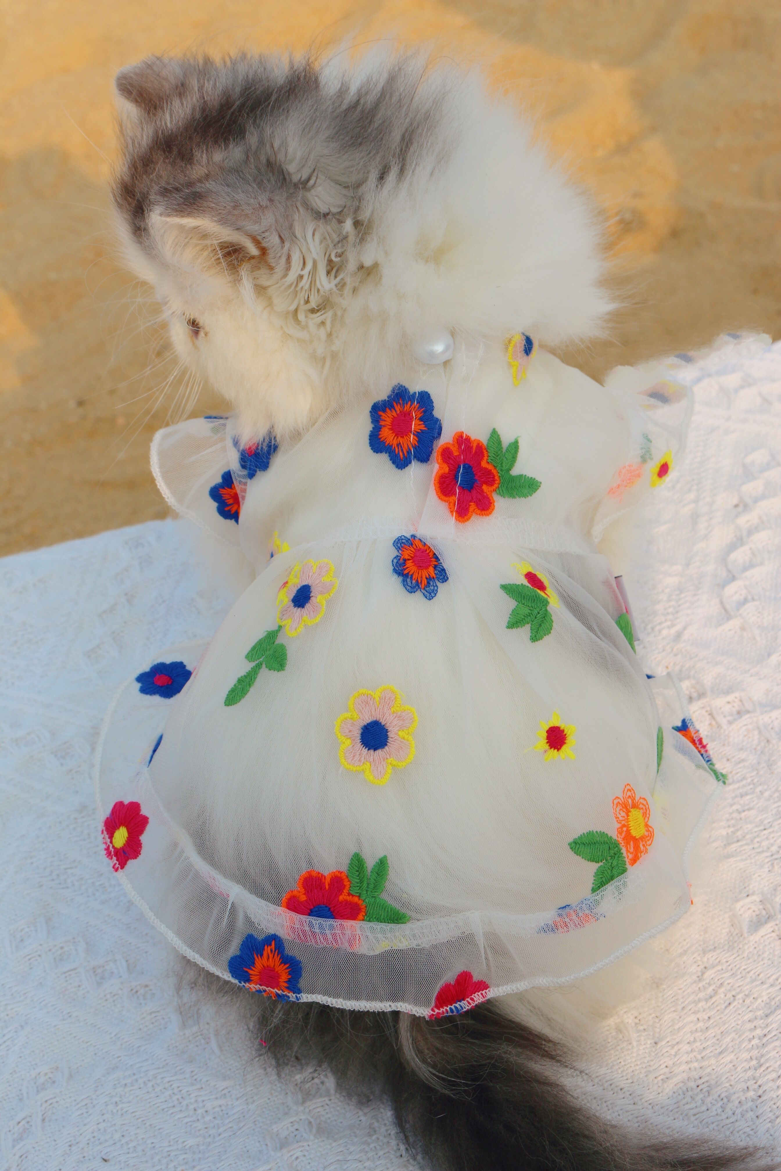 Mesh Flower Embroidery Dress for Cat or Dogs