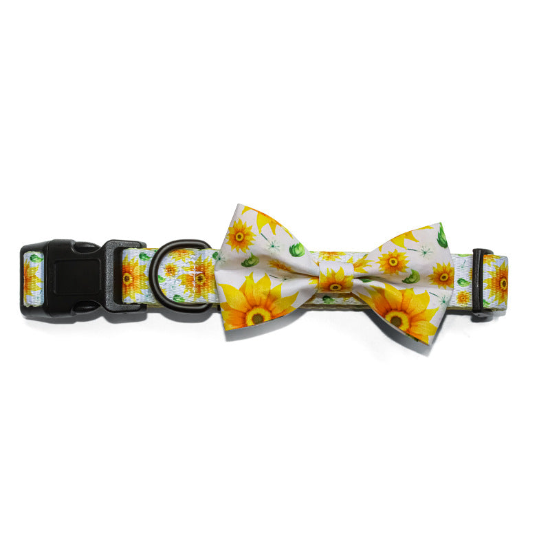 Pet Leash, Harness with Designs