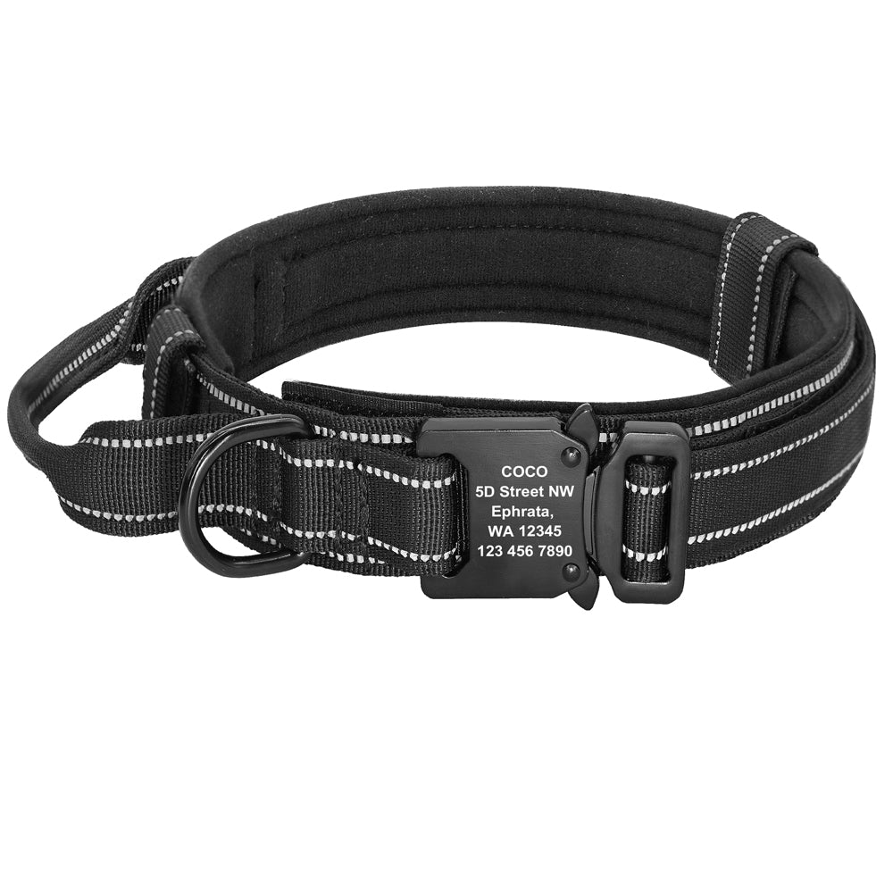 Dog Collars