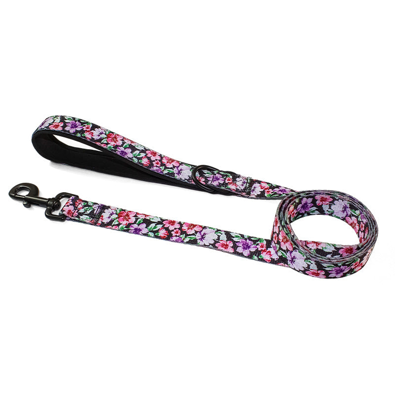 Pet Leash, Harness with Designs