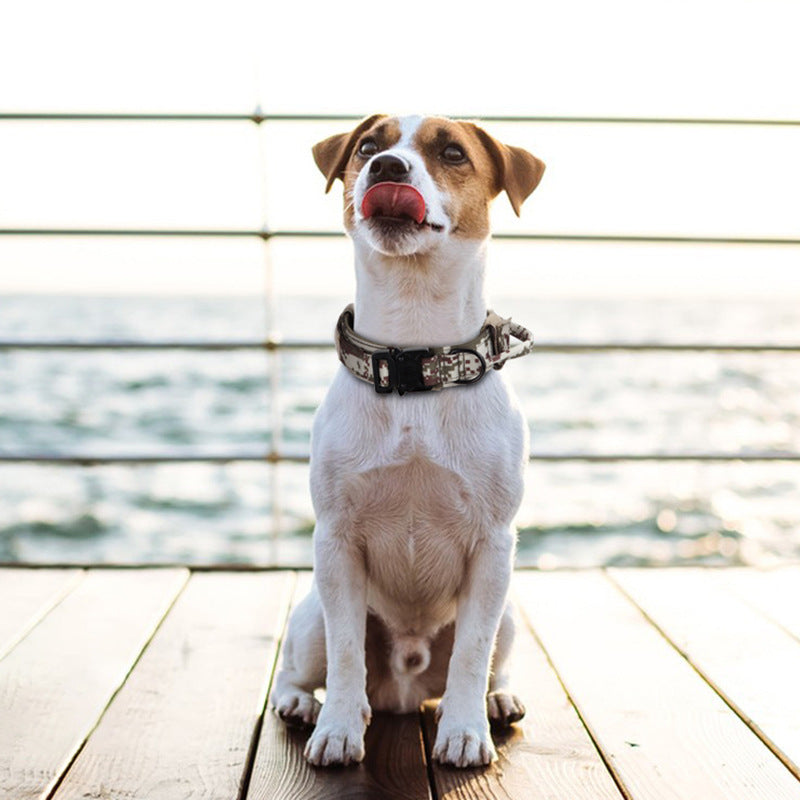 Tactical Dogs Collar