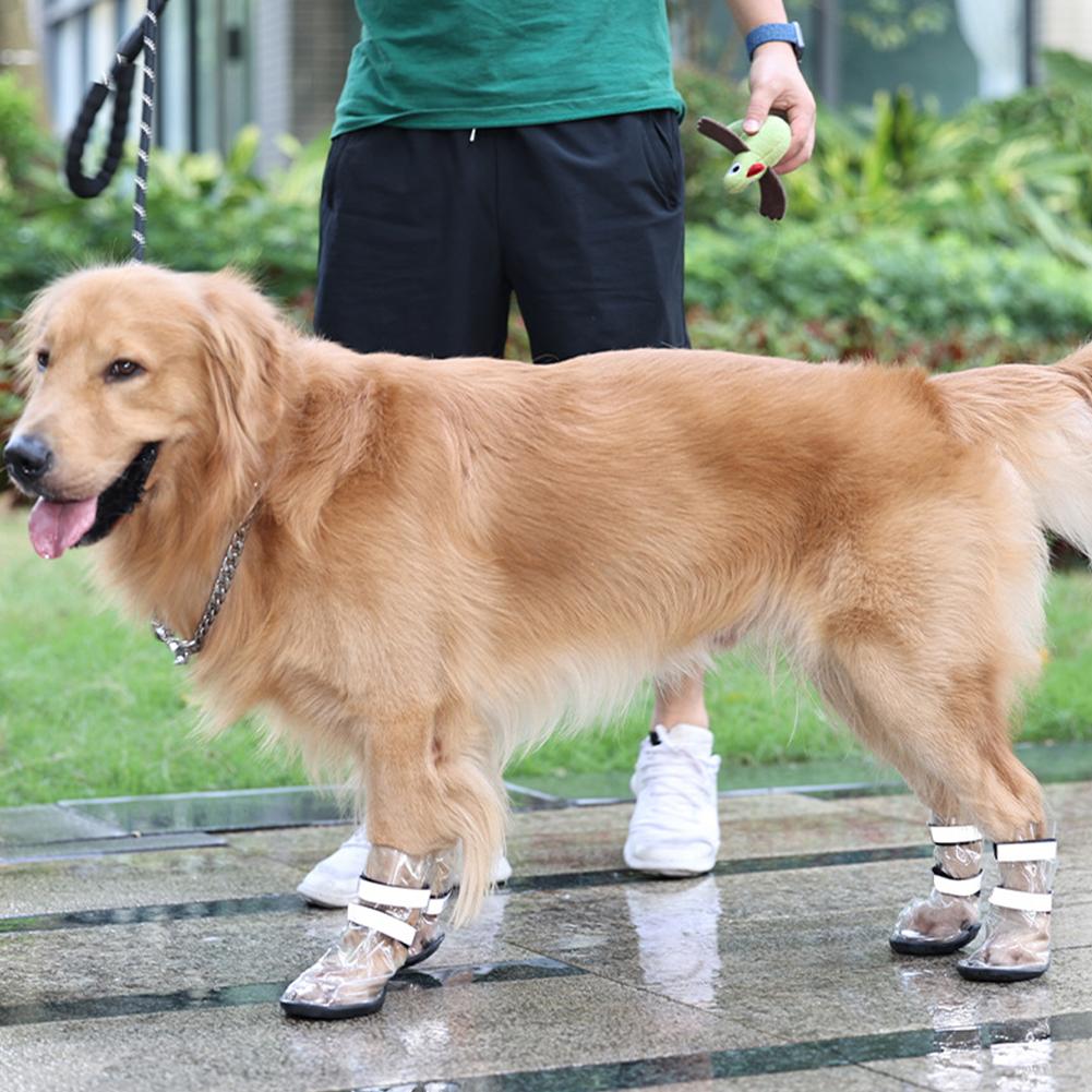 Waterproof Shoes For Large Dogs
