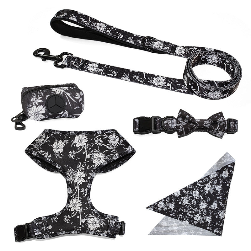 Pet Leash, Harness with Designs