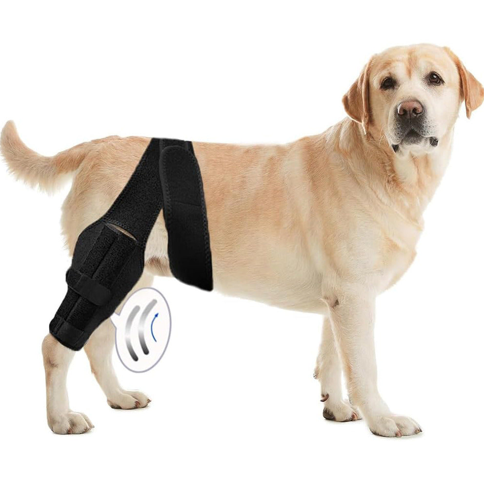 Protective Gear Dog Leg Injury Assistance Belt