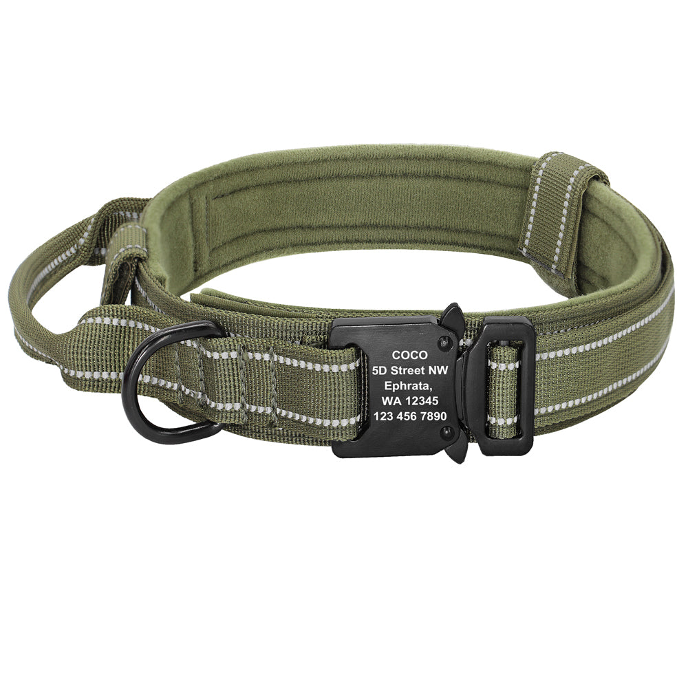 Dog Collars