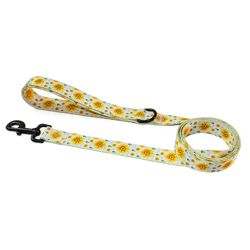Pet Leash, Harness with Designs