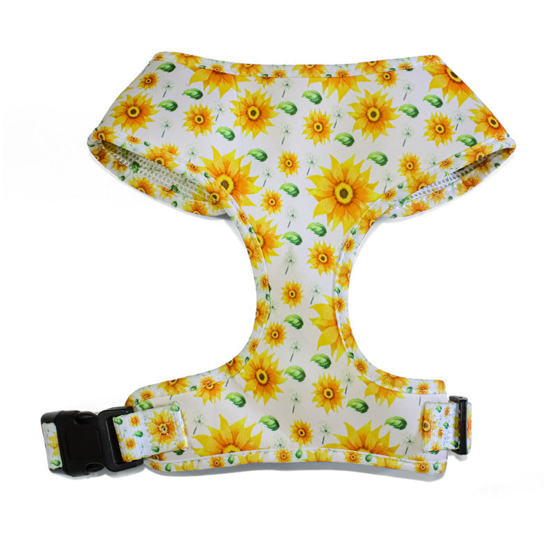 Pet Leash, Harness with Designs