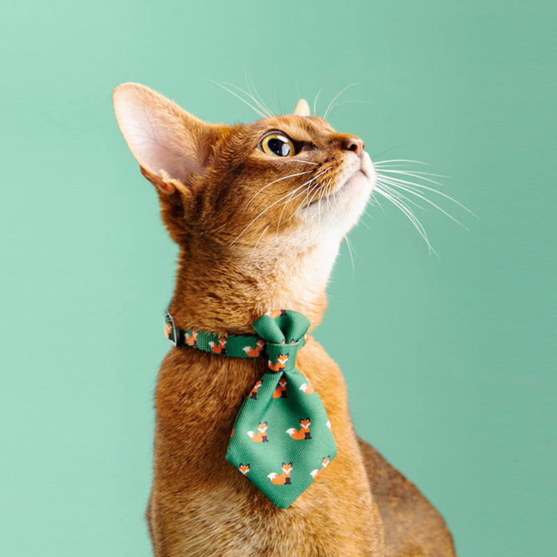 Dog Collar Gentleman Tie Accessories Adjustable