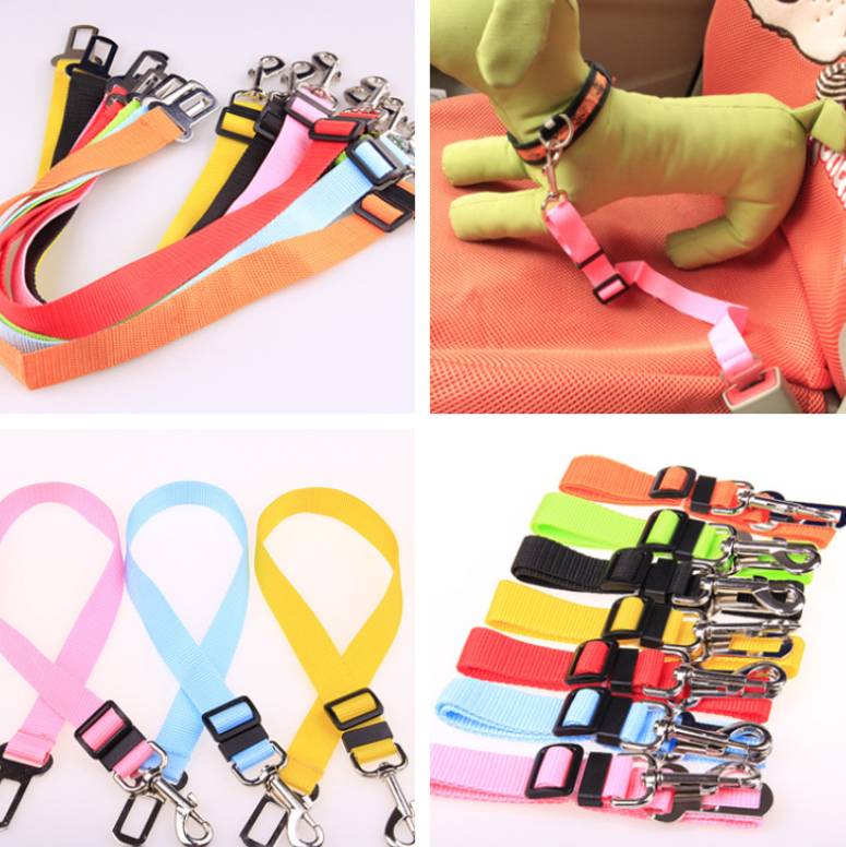 Polyester Fixed Strap for Vehicle