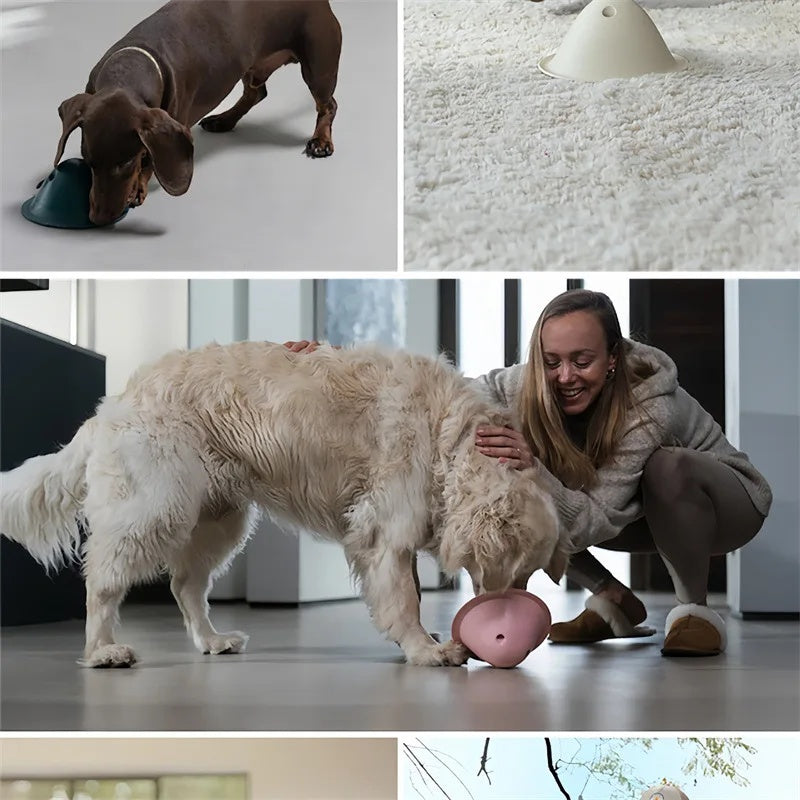 Dog Chew Toy
