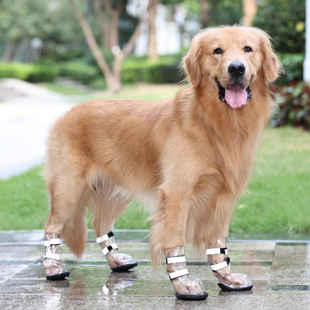 Waterproof Shoes For Large Dogs
