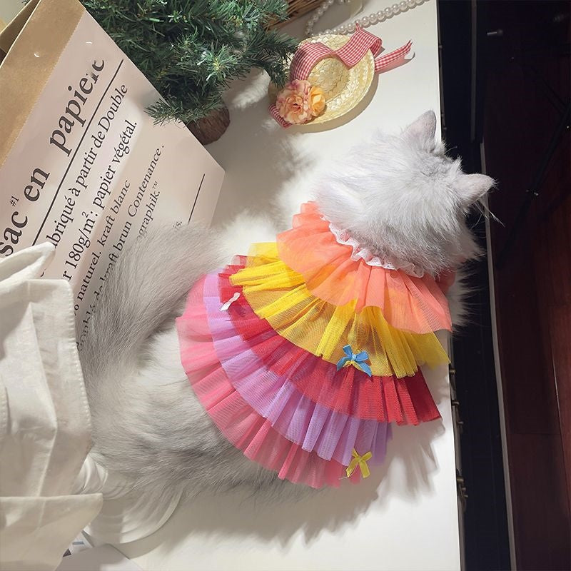 Cat or Dog Lace Mesh Dress